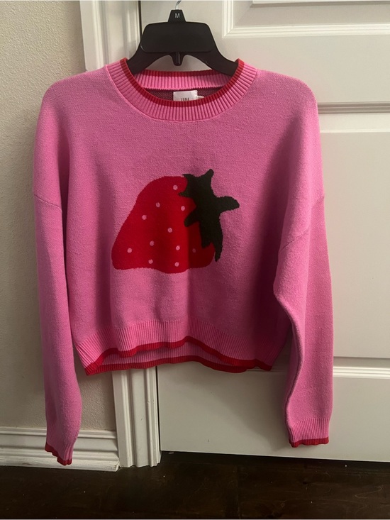 Luna Ivy Sweaters - NWOT Luna Ivy Strawberry Sweater